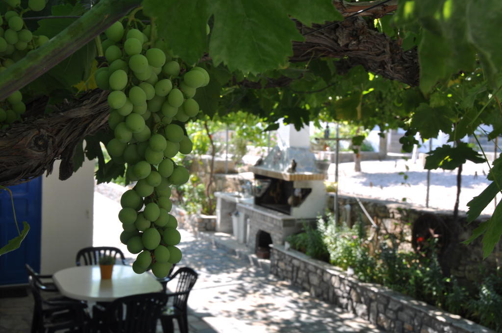Villa Panorama In Pefkos Pefki Exteriér fotografie
